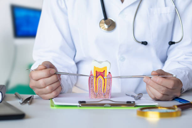 Best Orthodontic Emergency Dentist in Marshall, VA
